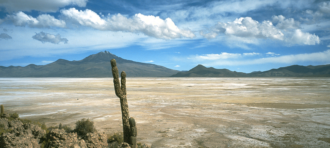 chi_3_29 cactus_uyuni pano.jpg - Nord et Est Uyuni volcan Tunupa salar d'Uyuni avec au fond le volcan Tunupa
